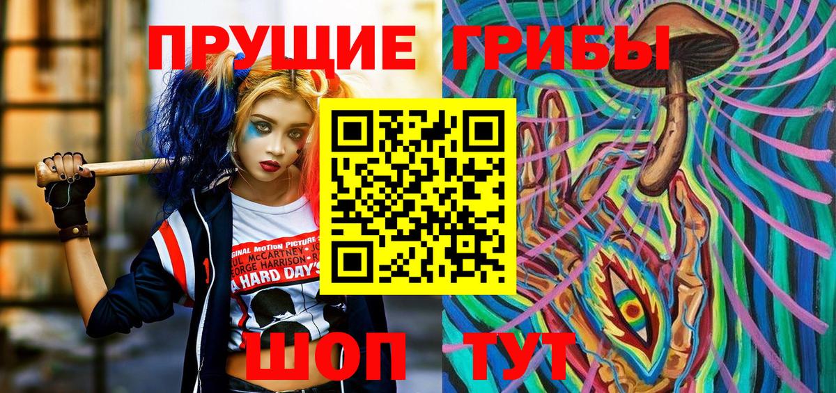 купить закладку  Псилоцибиновые грибы Psilocybine cubensis  Вход с VPN  Ангарск 